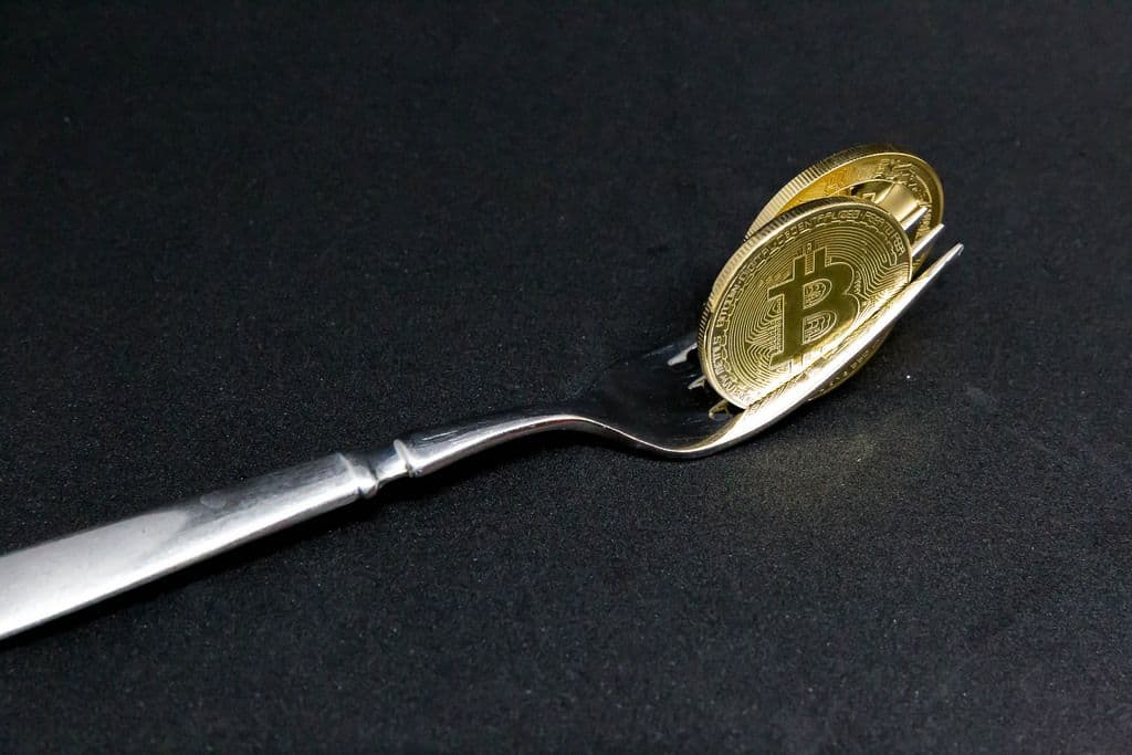 The Bitcoin forks