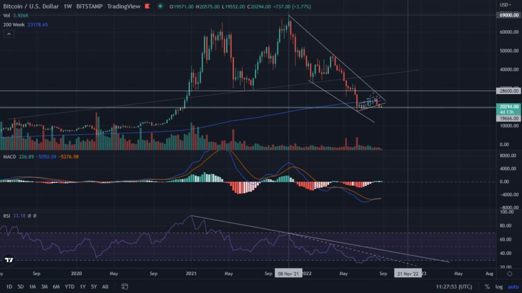 Bitcoin defends 2017 ATH and BONE reaches a new ATH