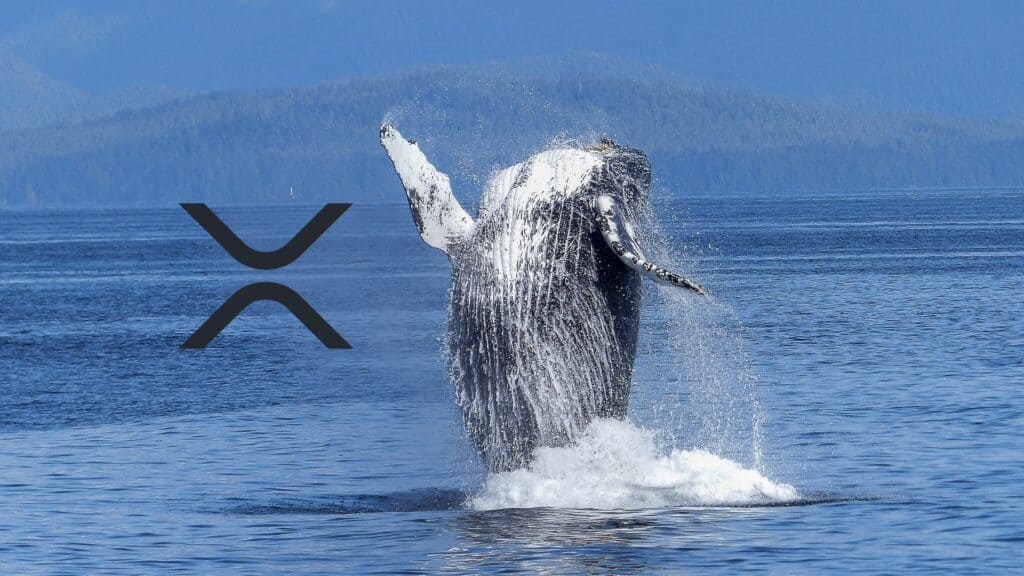 XRP whales in action again - this time they transferred 442 million coins